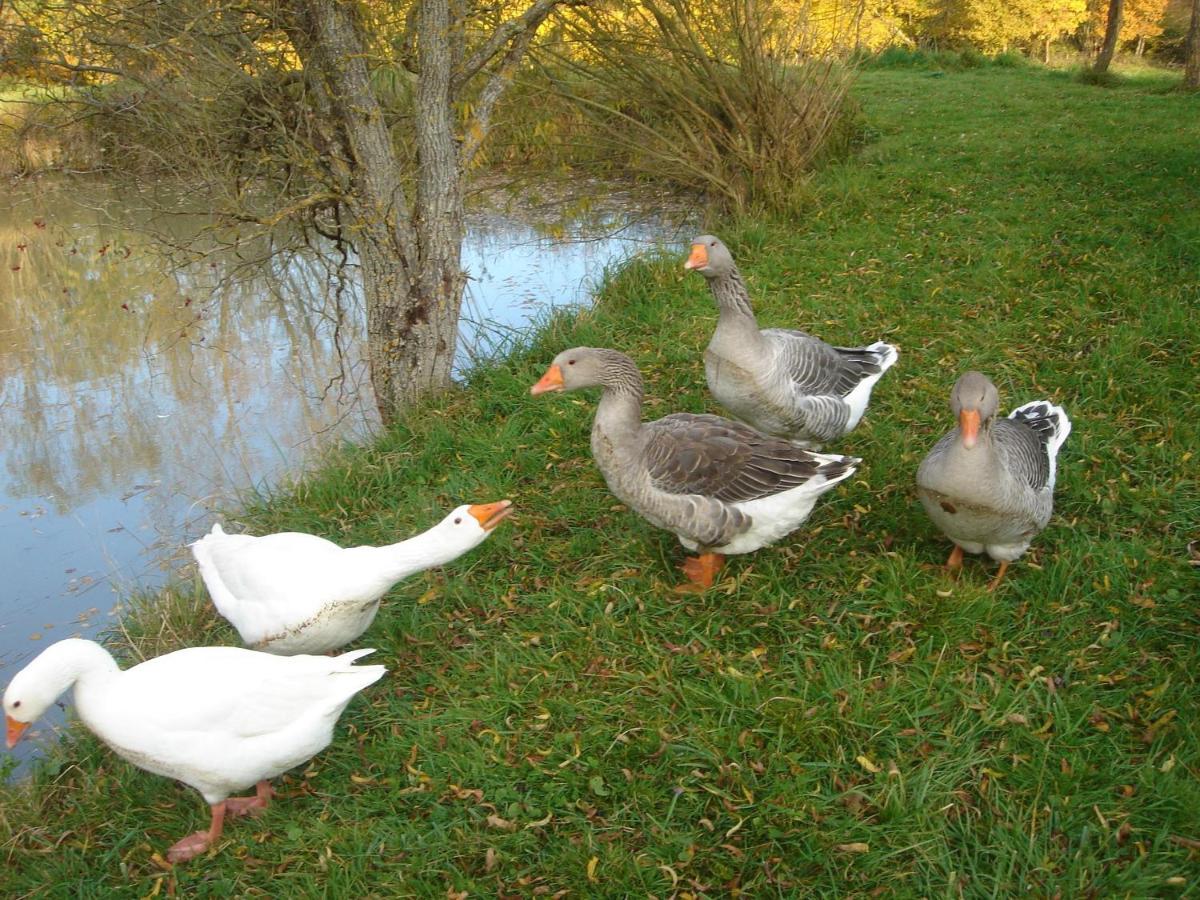 Domaine De Varenne Bed and Breakfast Saint-Amand-en-Puisaye Buitenkant foto
