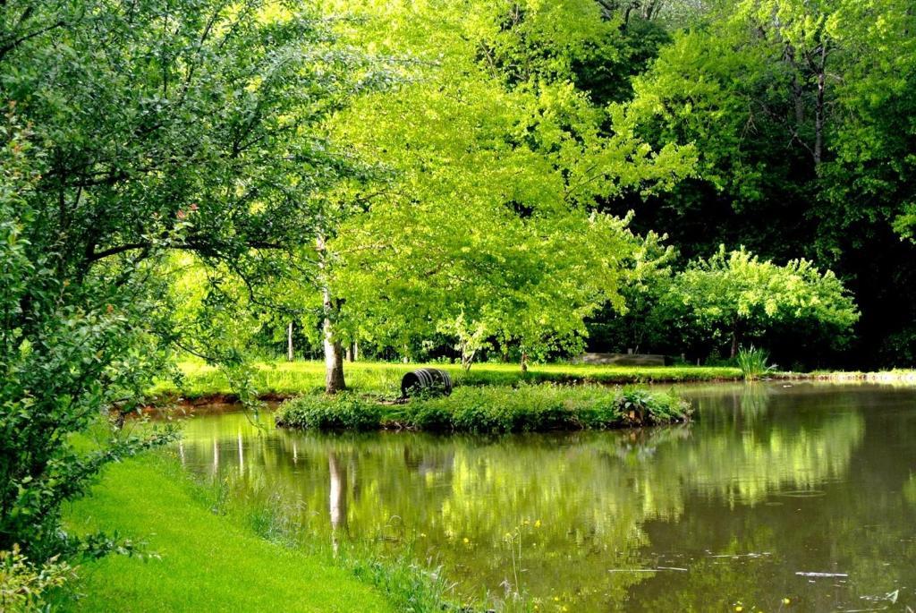 Domaine De Varenne Bed and Breakfast Saint-Amand-en-Puisaye Buitenkant foto